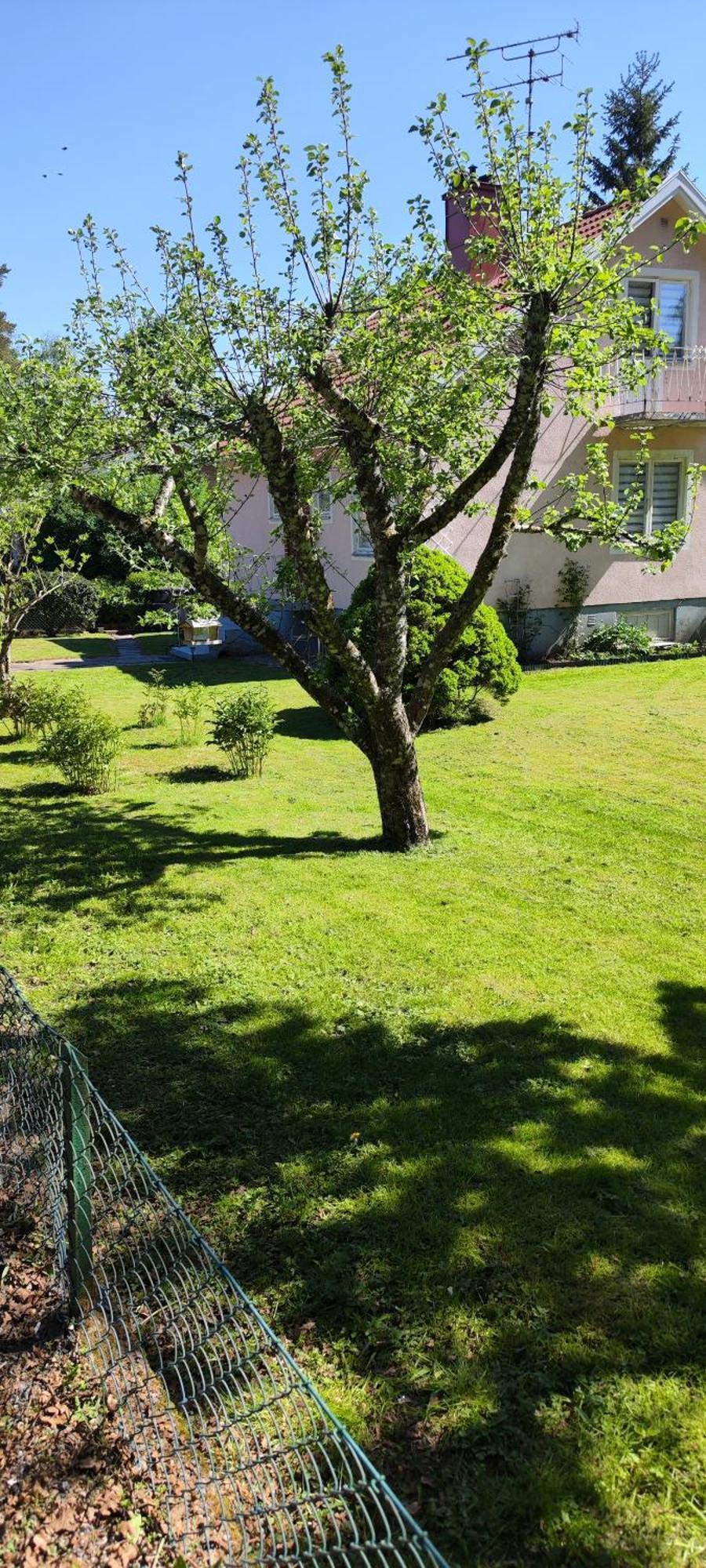 Hela Boendet Uthyres Överlida Esterno foto