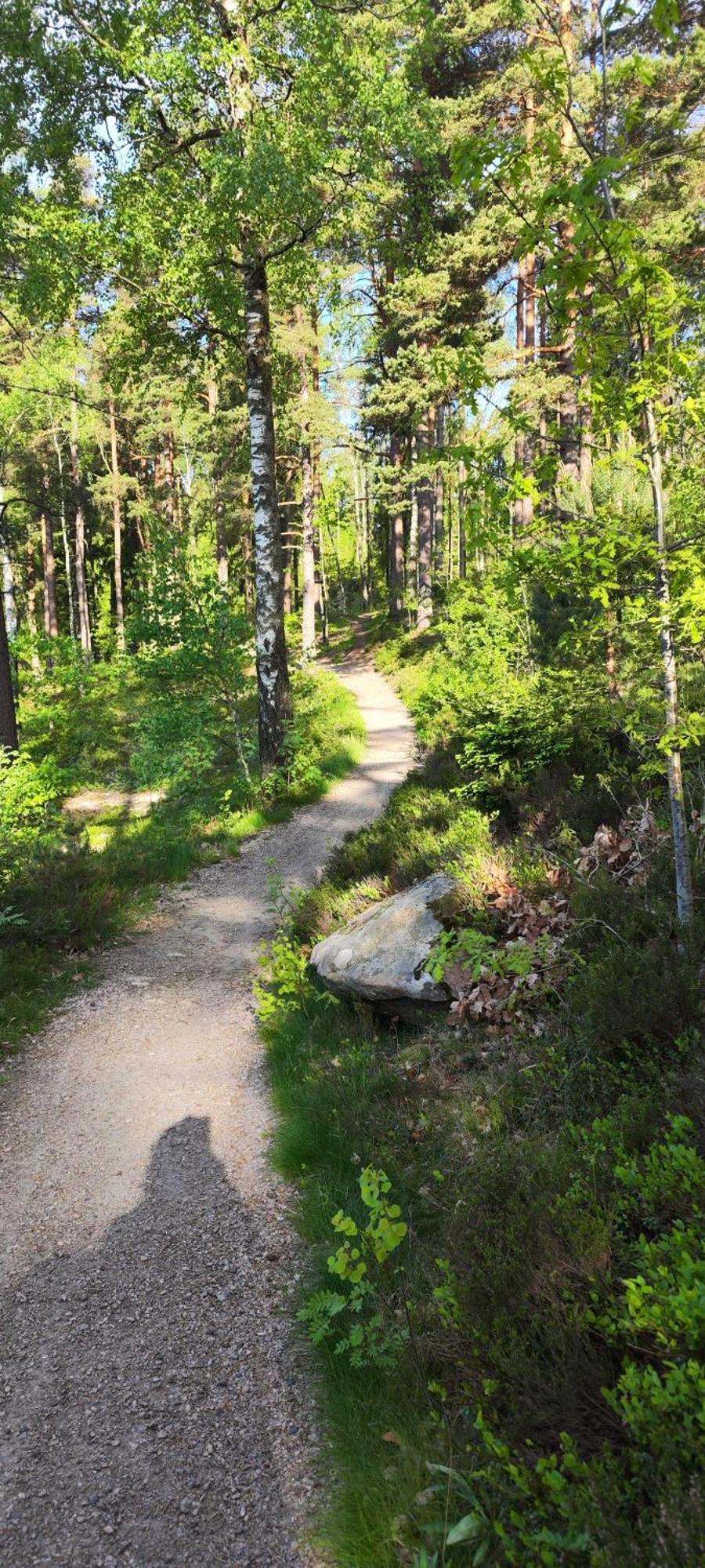 Hela Boendet Uthyres Överlida Esterno foto