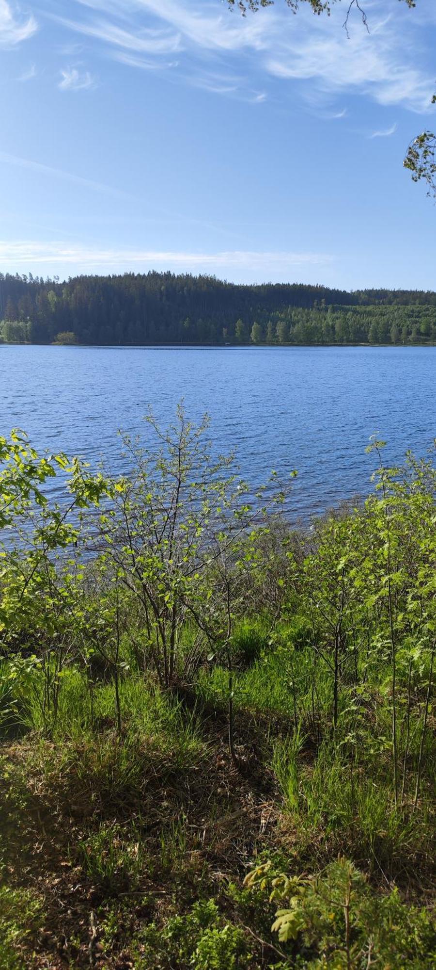 Hela Boendet Uthyres Överlida Esterno foto