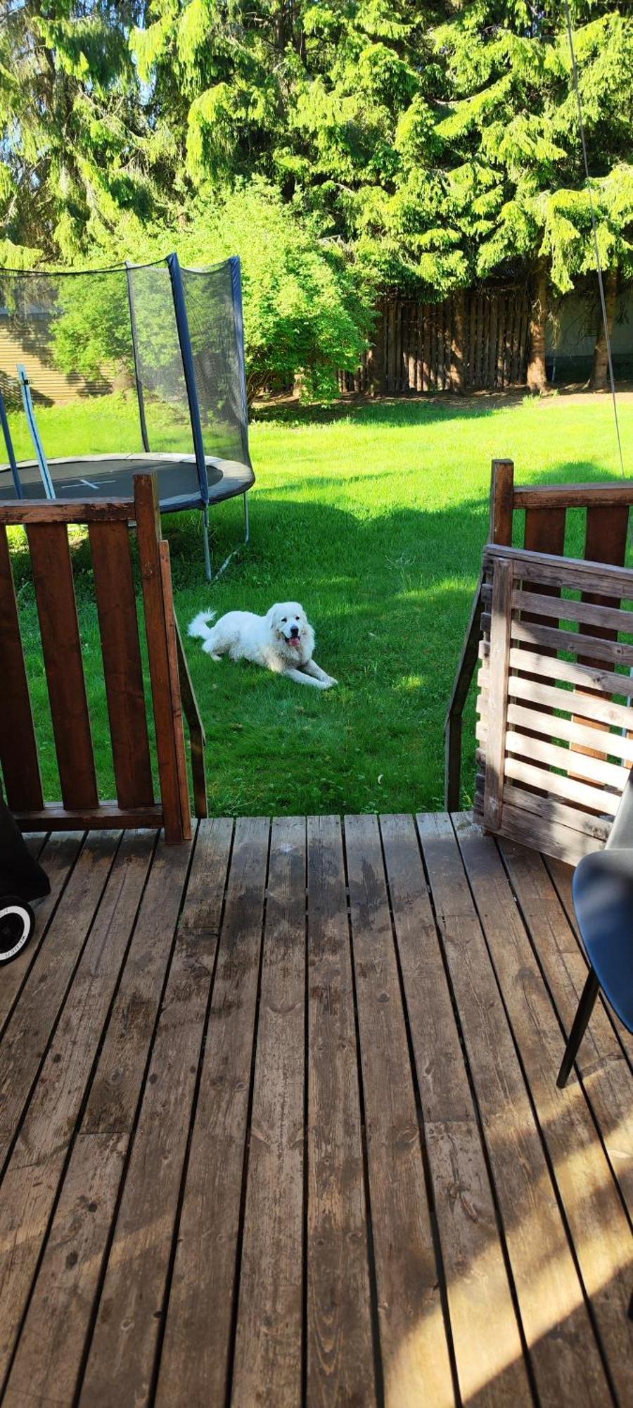 Hela Boendet Uthyres Överlida Esterno foto