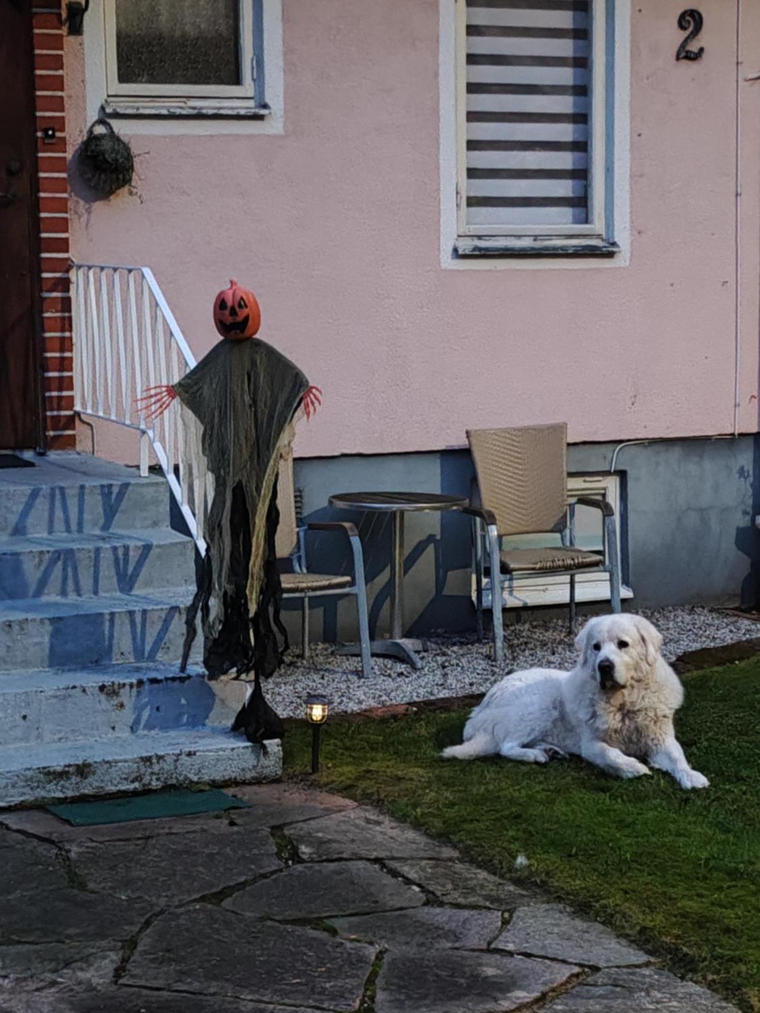 Hela Boendet Uthyres Överlida Esterno foto